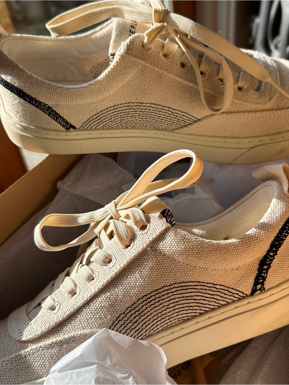 Canvas Lace-Up Everlane Sneakers in Natural with Black Stitching. Worn Once.